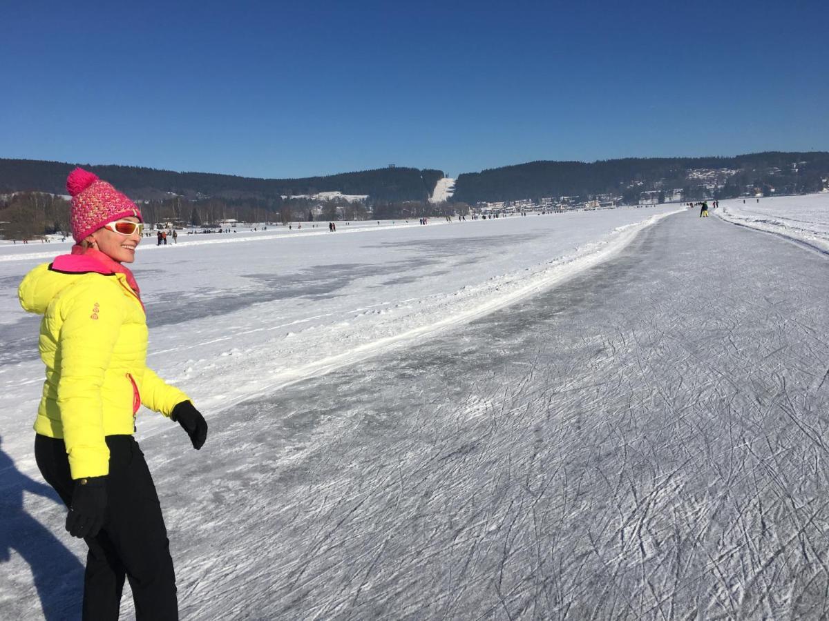 Rekreacni Domek Kobylnice Lipno Lipno nad Vltavou Ngoại thất bức ảnh