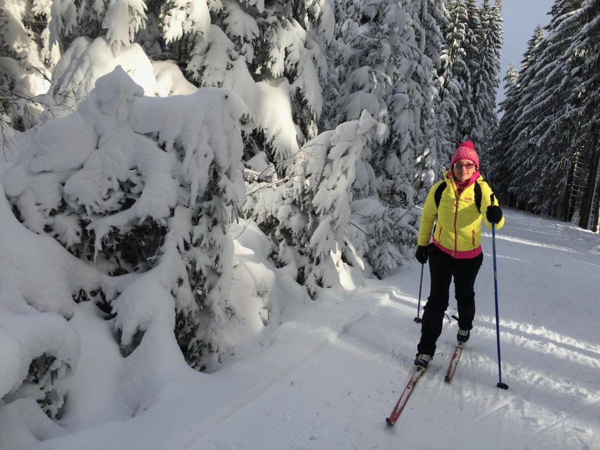 Rekreacni Domek Kobylnice Lipno Lipno nad Vltavou Ngoại thất bức ảnh